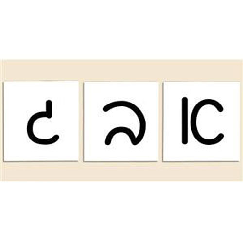 Script Flash Cards
