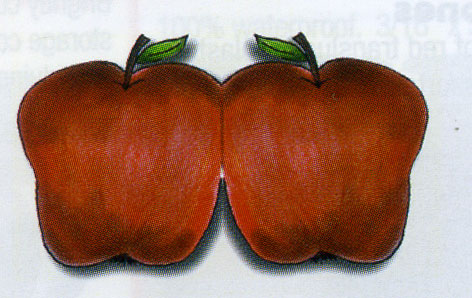 Apple Invitation Card Stock  