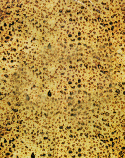 Matzah Paper 8.5 X 11