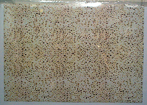 Matzah Poster