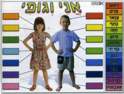 Ani Ve Gufi (Body Parts) Interactive L. Poster 
