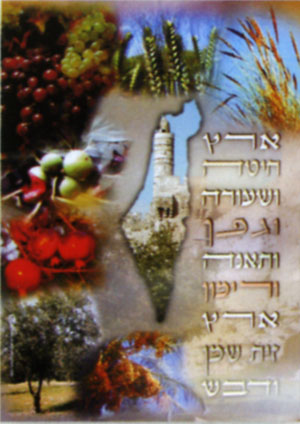 7 Kinds Poster - P621