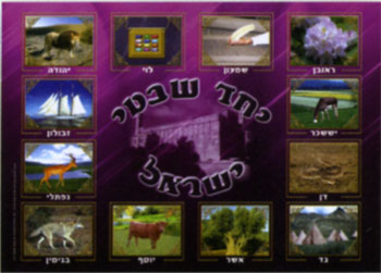 12 Tribes Poster - P626